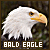 American Bald Eagles