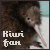 Kiwi Birds
