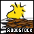 Peanuts: Woodstock