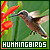 Hummingbirds