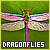 Dragonflies