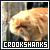 Harry Potter: Crookshanks