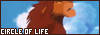 100x35 code