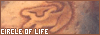 100x35 code