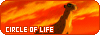 100x35 code