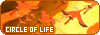 100x35 code