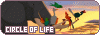 100x35 code