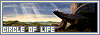 100x35 code
