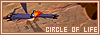 100x35 code