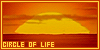 100x50 code