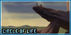 100x50 code