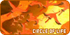 100x50 code