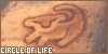 100x50 code