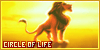 100x50 code