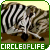50x50 code