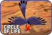 75x50 code