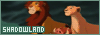 100x35 code