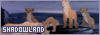 100x35 code
