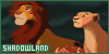100x50 code