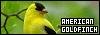 100x35 code