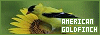 100x35 code