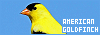 100x35 code
