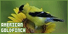 100x50 code
