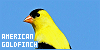 100x50 code