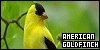 100x50 code