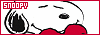 100x35 code