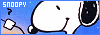 100x35 code