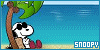 100x50 code