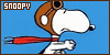 100x50 code