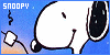 100x50 code