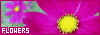 100x35 code