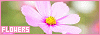 100x35 code