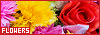100x35 code