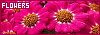 100x35 code