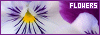 100x35 code