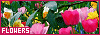 100x35 code