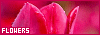 100x35 code