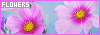 100x35 code