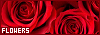 100x35 code