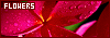 100x35 code