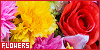 100x50 code