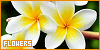 100x50 code