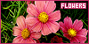 100x50 code