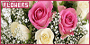 100x50 code