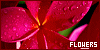100x50 code
