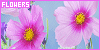 100x50 code